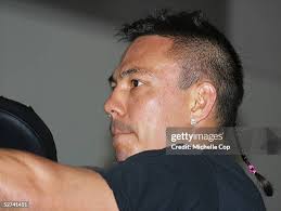 448 Michelle Boxer Stock Photos, High-Res Pictures, and Images