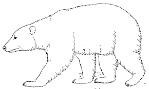 But as a reminder of the ice age, he caused every 10th black bear to be white. Bear Black And White Black Bear Clipart Black And White Clipartfest Wikiclipart