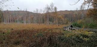 Das am fuß der köpenicker müggelberge gelegene teufelsmoor wurde in den vergangenen 9 monaten von umfangreichen altlasten befreit. Wandern 431 Berlin Muggelheim Wald Und 1000 Dm Bergtour Teufelsmoor Tour 175029