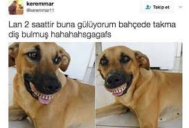 Delircem Amk Mizah Komedi Komik Istanbul Caps Eglence Izmir Ankara Ta Komik Seyler Komik Capsler Komik