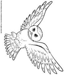 Back Print This Snowy Owl Color Page Animal Coloring Pages Owl Coloring Pages Snowy Owl Animal Coloring Pages