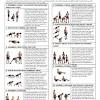 Fitwirrs 5 workout posters pack dumbbell exercises stretching exercise ball. 1