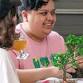 Bonsai Workshop at The Greats of Craft (Midtown East) event image