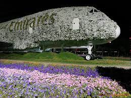 Where is miracle garden in dubai located. Why To Visit Dubai Miracle Garden Finnoy Travel