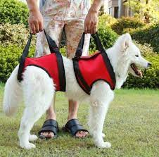 Front And Or Rear Dog Lift Harness With Handle Dog Vest Harness Dog Harness Dog Sling