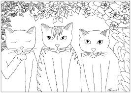 Originality and outstanding quality — that's what makes favoreads different. Simple Cat Coloring Pages For Adults Novocom Top