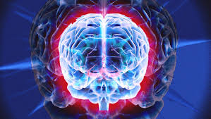 2.just below the image, you'll notice a button that says. 39 Brain Wallpaper Hd On Wallpapersafari