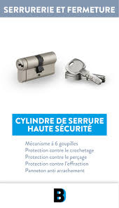 Cylindre De Serrure Haute Securite En 2020 Cylindre Goupille Haut