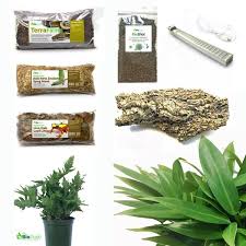 Ball Python Snake Bioactive Kit Ball Python Corn Snake Bioactive Vivarium