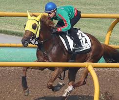 This is description 2021年エルムステークス（g3）の最終予想です。 函館ダート1,700mで行われる重賞です。 ソリストサンダー、アメリカンシード、ウェスタールンドなどが登場します。 函館競馬場ダート1,700mコースガイドはこちら Bhsjqib Wgrkom