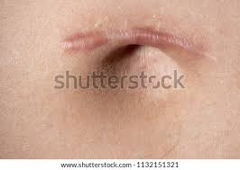 We did not find results for: Shutterstock Puzzlepix