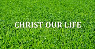 Image result for images Christ, Our Life