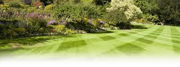 I have had the pleasure of working with tempco pest control at southern pines for over two decades. West Tennessee Lawn Care Pest Control In West Tennessee