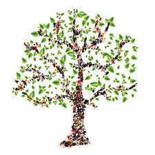 Check spelling or type a new query. Como Hacer Un Arbol Genealogico Familiar Espaciociencia Com