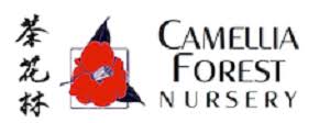 Maybe you would like to learn more about one of these? Camellia Forest Nursery