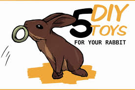 What toys do bunnies like. 5 Diy Easy Rabbit Chew Toys To Make A Step By Step Guide
