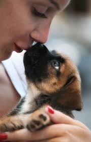 Misty Wagner (windowstar)