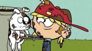 Various formats from 240p to 720p hd (or even 1080p). The Loud House Season 3 Air Dates Countdown