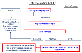 Flow Chart Of Procedures For Hiv Screening With A Rapid Test