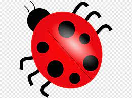 Caterpillar and ladybug cartoon in a happy encount. Ladybird Ladybug Insects Cartoon Snout Png Pngwing
