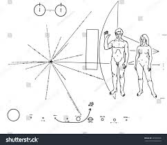 Image result for pioneer plaque