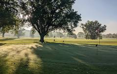 Coon Rapids 8" Cup Tournament (AM)