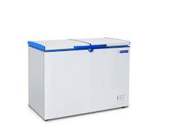 Blue Star CHFDD300DGSW Double Door Deep Freezer