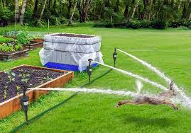 We did not find results for: 40 Best Garden Fence Ideas Design Pictures Designing Idea