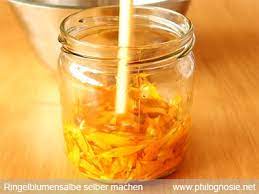 Ringelblumensalbe Selber Machen Herstellen Rezepte Philognosie