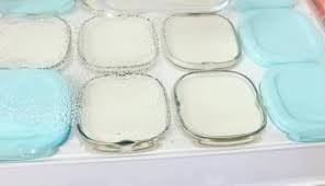 Yaourts Facon Petits Suisses En 2020 Petit Suisse Yaourt Yaourt Maison