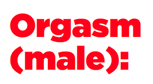 As fried eggs are often served for breakfast it can be used to relate to that specific meal of the day. The Complete Guide To Emojis That Mean Dirty Words