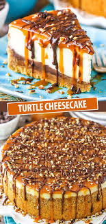 Turtle Cheesecake Rezept In 2020 Dessert Ideen Kuchen Rezepte Herzhafte Kuchen