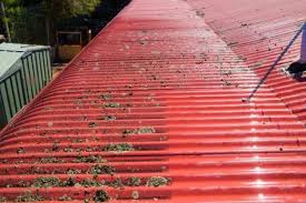 Maybe you would like to learn more about one of these? Metal Roof Cleaning Services Metal Roof Cleaners