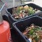 Burbank Farmers’ Market — LC-SS event image