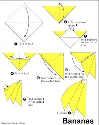 Budidaya wortel saat ini banyak dilakukan kerena banyaknya. Adellya Fridayanti Adelff Profil Pinterest