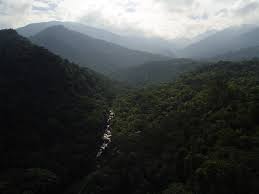 Este foi o primeiro parque nacional do brasil, criado em junho de 1937. Nationalpark Itatiaia Wikipedia