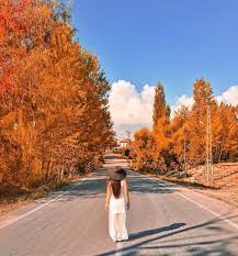 546 Begenme 16 Yorum Instagram Da Esra Tugce Gulebay Ayirici Tugceslife Dear Saturday You Re My Favorite Turkey Travel England Travel Country Holiday