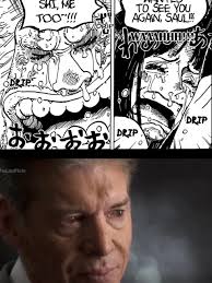 One Piece Saul and Robin Meet Again