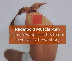 Pin On Health