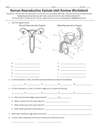 The human reproductive system includes the male reproductive system which functions to produce and deposit sperm; Human Reproductive System Unit Review Worksheet Fill Out And Sign Printable Pdf Template Signnow