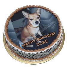 Custom made cakes, cupcakes or cookies made per order. Dog Birthday Cake Online Free Delivery Within 2 Hours Dog Birthday Cake Dog Birthday Your Dog