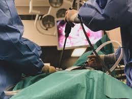We did not find results for: Laparoscopic Surgery Vs Open Surgery In Patients With Colorectal Cancer With Liver Metastases No Change In Survival Onco Zine