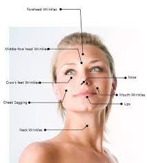 We did not find results for: Thread Lift Before After Photos Information Prices
