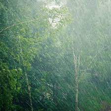 Rainfall Warning In Southwestern Ontario Rainfall Sarnia Southwestern