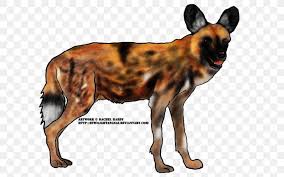 Do you go with perennial petguide.com has researched hundreds of dog breeds, breaking down the pros and cons of each. Dog Breed Dhole African Wild Dog South African Cheetah Png 600x512px Dog Breed African Wild Dog