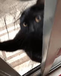 Https Encrypted Tbn0 Gstatic Com Images Q Tbn And9gcrb3rcfe1iamsf0kzcft9rvexq Qysb Eel5w Usqp Cau