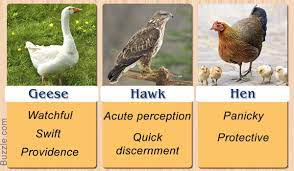 Pretty Enthralling Bird Symbolism And Their Meanings Animal Totem Spirit Guides Bird Animal Symbolism