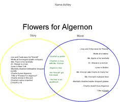 8 best flowers for algernon images in 2016 flowers for