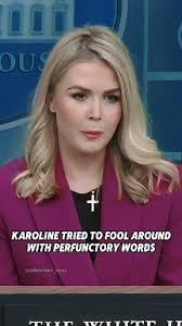 Liz Cheney/Adam Kinzinger Against Trump