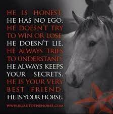 Pin On Horses